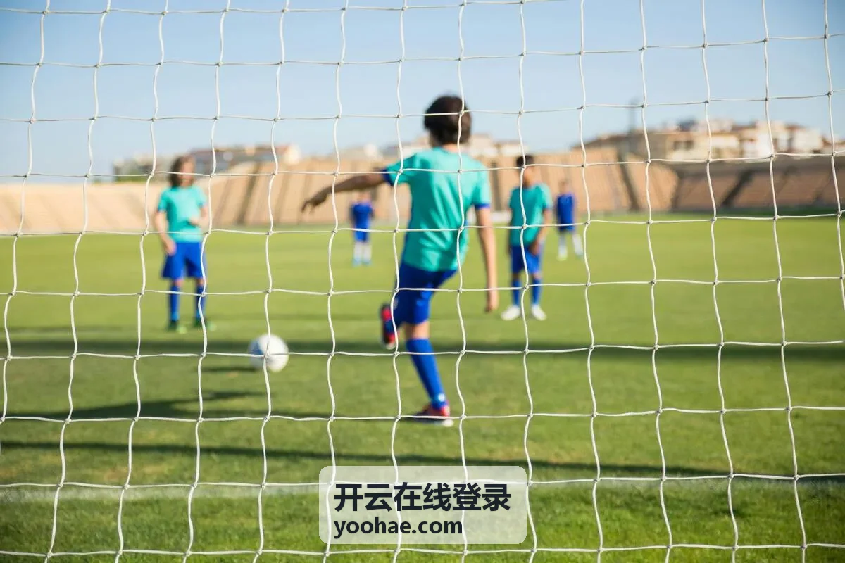 开云在线登录身份核验与设备确认步骤的界面示意