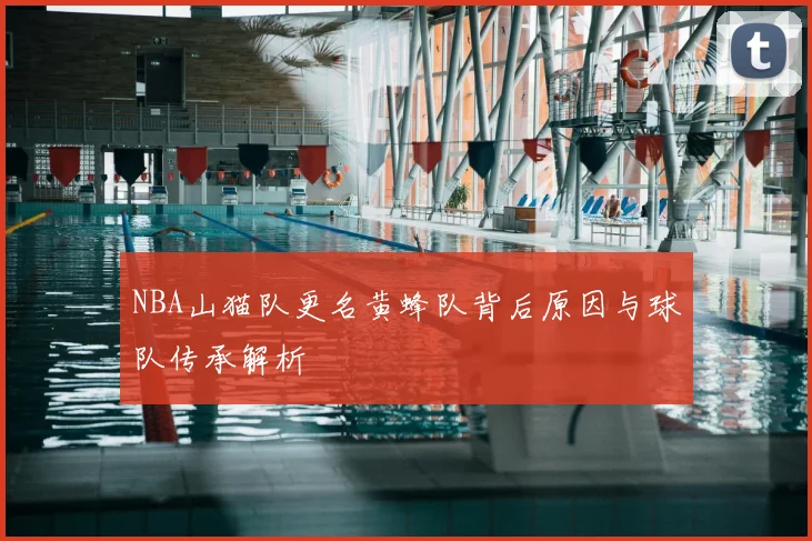 NBA山猫队更名黄蜂队背后原因与球队传承解析