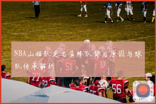 NBA山猫队更名黄蜂队背后原因与球队传承解析