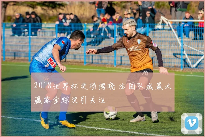 2018世界杯奖项揭晓 法国队成最大赢家金球奖引关注