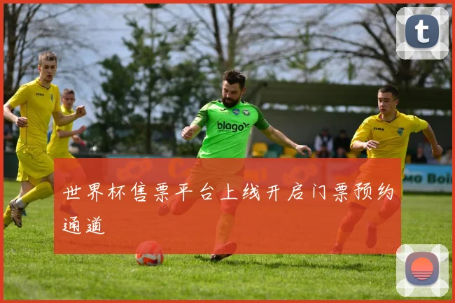 世界杯售票平台上线开启门票预约通道