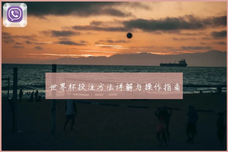 世界杯投注方法详解与操作指南