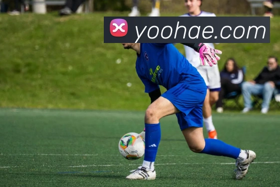 必一运动b官网服务体系